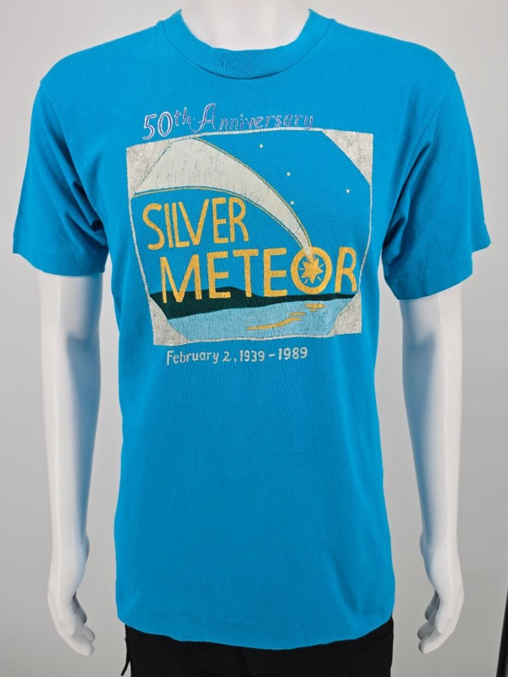 Vintage 1989 Silver Meteor 50th Anniversary Railroad Passenger Train T-Shirt (M)